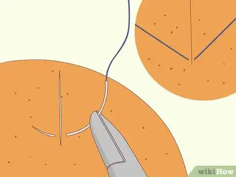 Image titled Practice Surgery Skills on Fruit Step 3