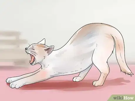 Image titled Help Your Cat Breathe Easier Step 6