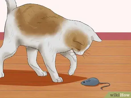 Image titled Help Cats to Sleep at Bedtime Step 5