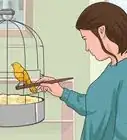 Train Your Canary