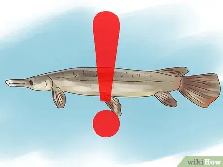 Image titled Fish for Alligator Gar Step 13