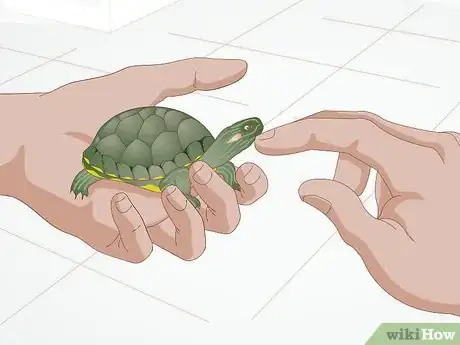 Image titled Apply Medication to a Turtle's Eyes Step 3