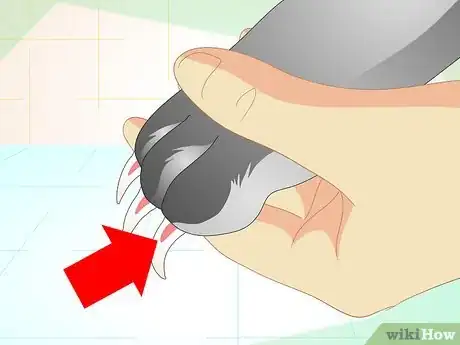 Image titled Trim Your Rabbit's Nails Step 4