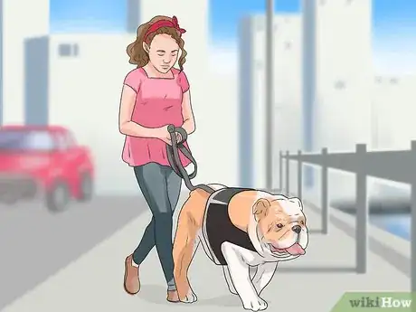 Image titled Care for an English Bulldog Step 17