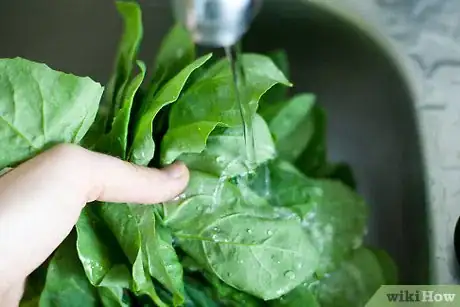 Image titled Add Spinach to Soup Step 2