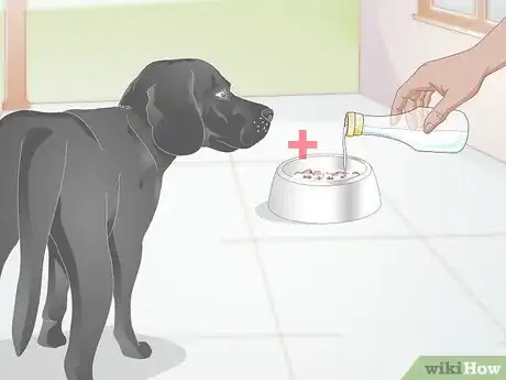 Image titled Care for Dogs with Distemper Step 9