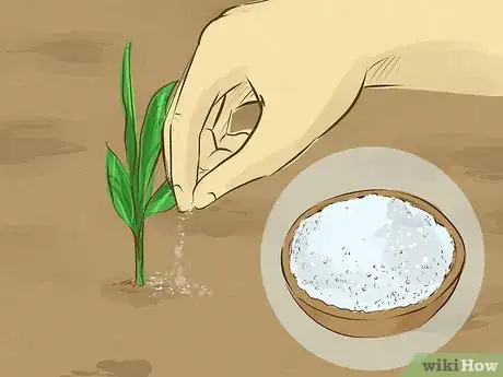 Image titled Make Fertilizer Step 9