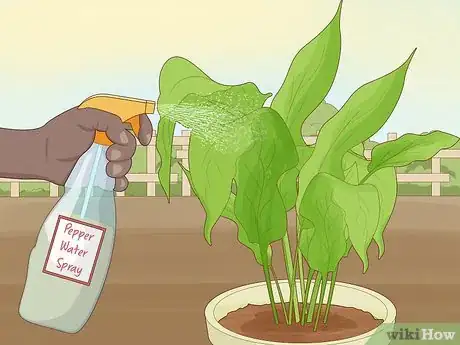 Image titled Protect Plants Step 14