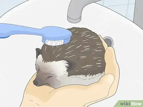 Image titled Take Care of a Hedgehog Step 11