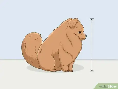 Image titled Measure a Dog for a Crate Step 3