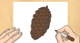 Draw a Pinecone