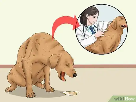 Image titled Keep a Dog From Throwing Up Step 11