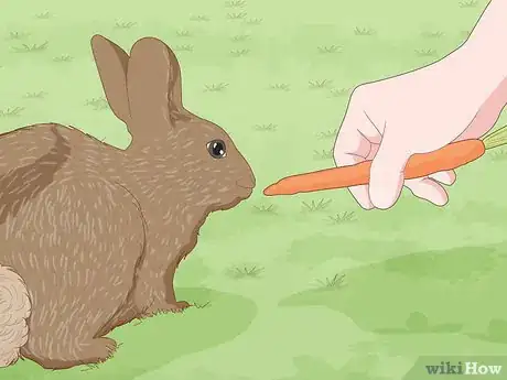 Image titled Care for a New Pet Rabbit Step 10