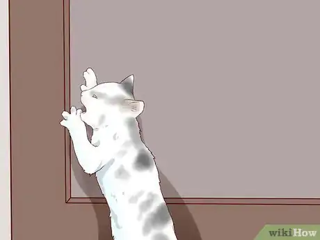 Image titled Put a Hyper Kitten to Sleep Step 10