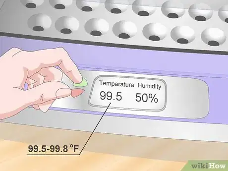 Image titled Hatch Quail Chicks Step 7