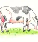 Draw a Cow