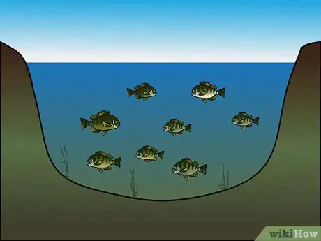 Image titled Fish Without Fishing Gear Step 16