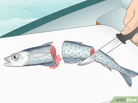 Image titled Catch Bluefin Tuna Step 2