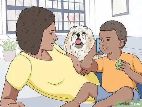 Image titled Identify a Lhasa Apso Step 12