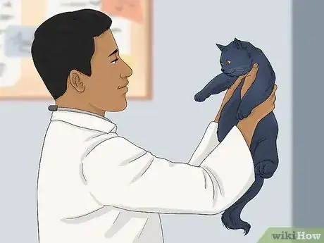 Image titled Tell if a Cat is Pregnant Step 11