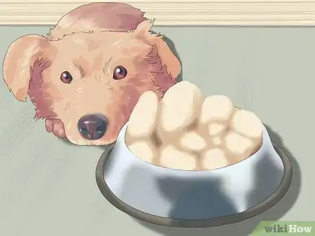 Image titled Treat Acid Reflux in Dogs Step 3