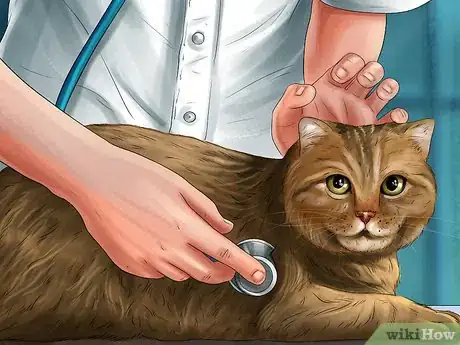 Image titled Handle Feline Eosinophilic Granuloma Complex Step 8