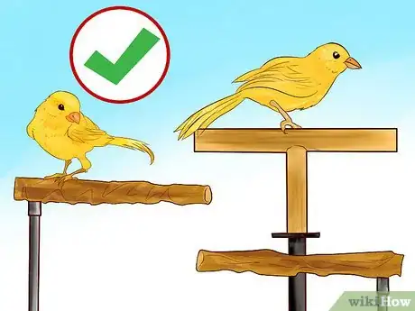 Image titled Keep a Canary Entertained Step 3