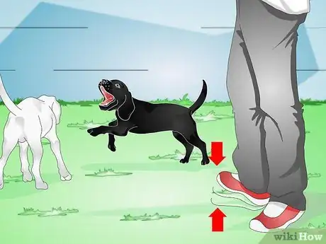 Image titled Train a Naughty Labrador Step 12