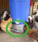 Make an Automatic Chicken Feeder