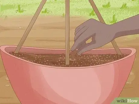 Image titled Grow Cucumbers in Pots Step 11