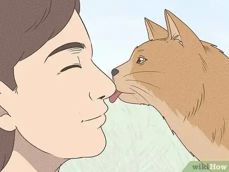 Image titled What Does It Mean when Your Cat Licks You Step 1