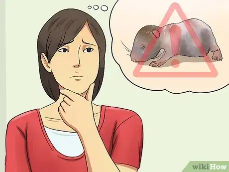 Image titled Care for Newborn Hamsters Step 11