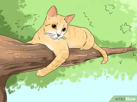 Image titled Change Your Cat's Routine Step 10