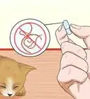 Take Care of Nursing Cats