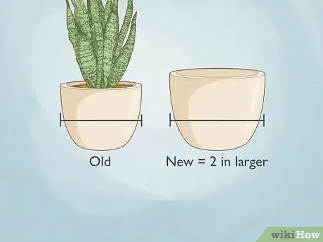 Image titled When to Repot Snake Plant Step 6