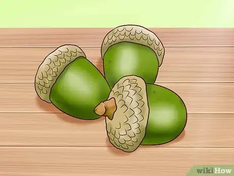 Image titled Use Acorns for Food Step 1