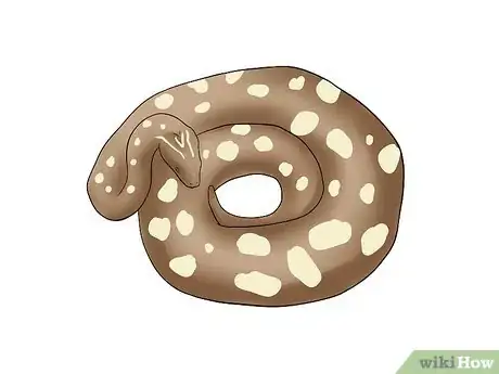 Image titled Breed Ball Pythons Step 10