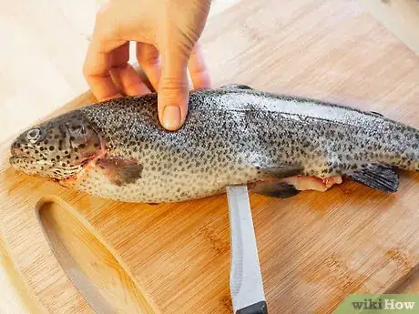 Image titled Fillet Trout Step 3