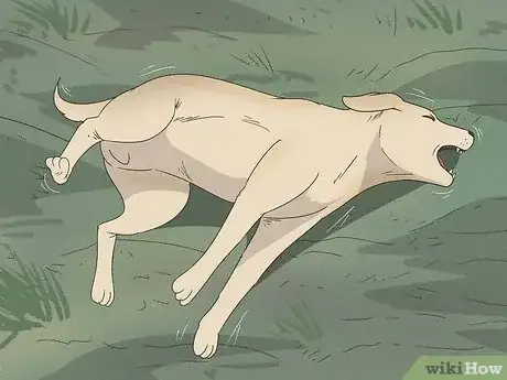 Image titled Tell if Your Dog Is Having a Medical Emergency Step 1