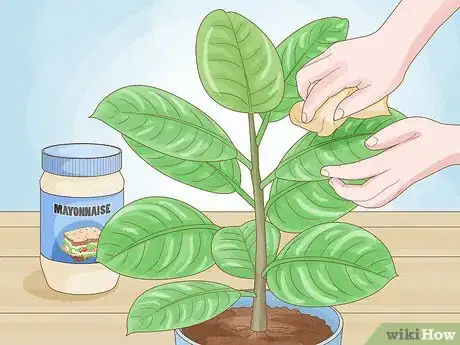 Image titled Clean Plant Leaves Step 6