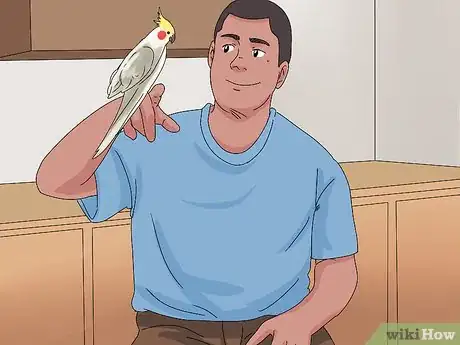 Image titled Treat Injured Cockatiels Step 16