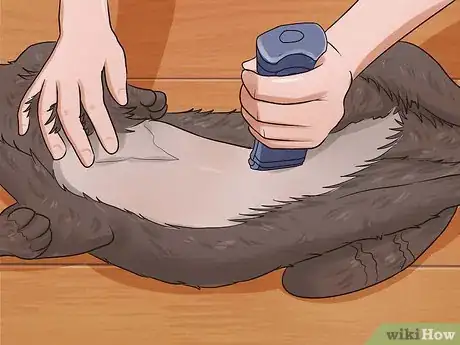 Image titled Shave a Cat Step 15