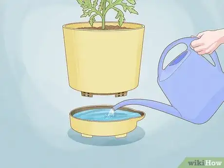 Image titled Use Self Watering Pots Step 5