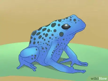 Image titled Take Care of Frogs Step 2