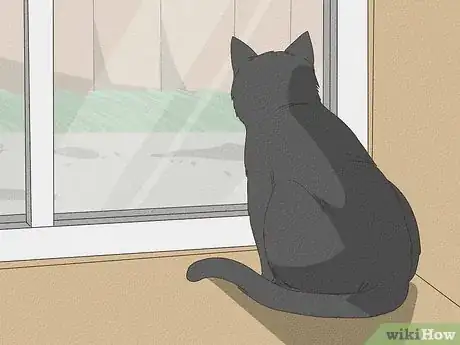 Image titled Help a Cat with Epileptic Seizures Step 10