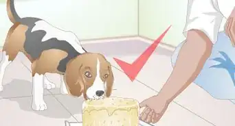 Make Dog Treats