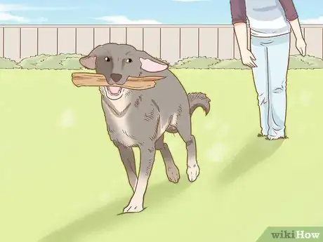 Image titled Treat Your Dog Step 12