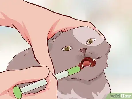 Image titled Stop Your Cat's Diarrhea Step 3