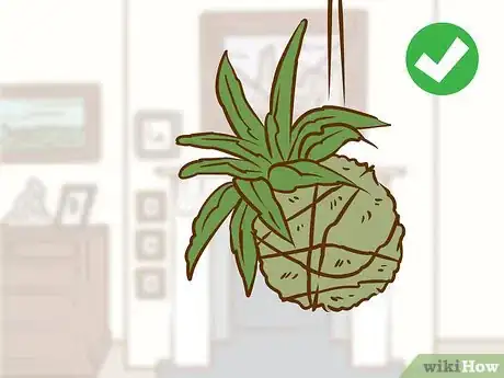 Image titled Make a Kokedama Step 10