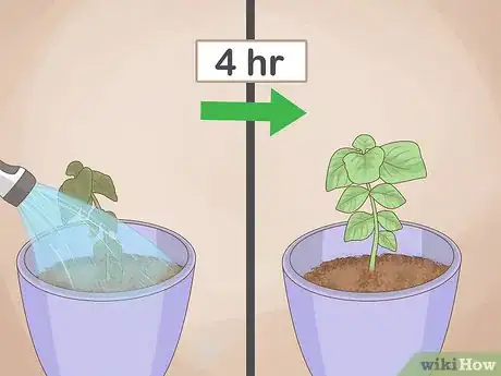 Image titled Grow Basil Indoors Step 15